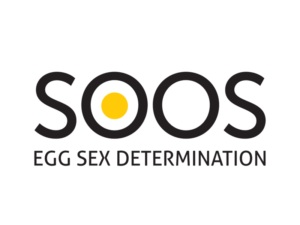 Soos Egg Sex Determination