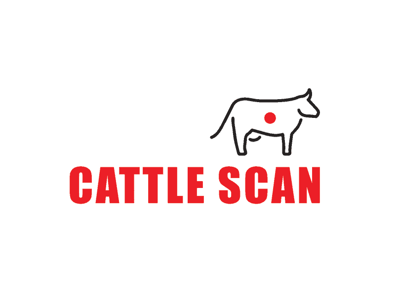 Cattle-Scan