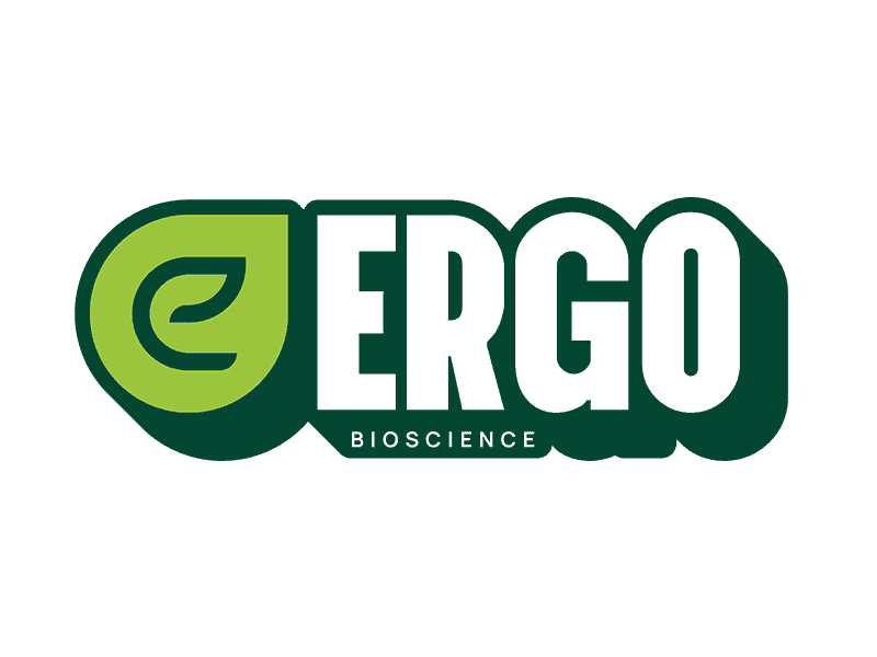 Ergo