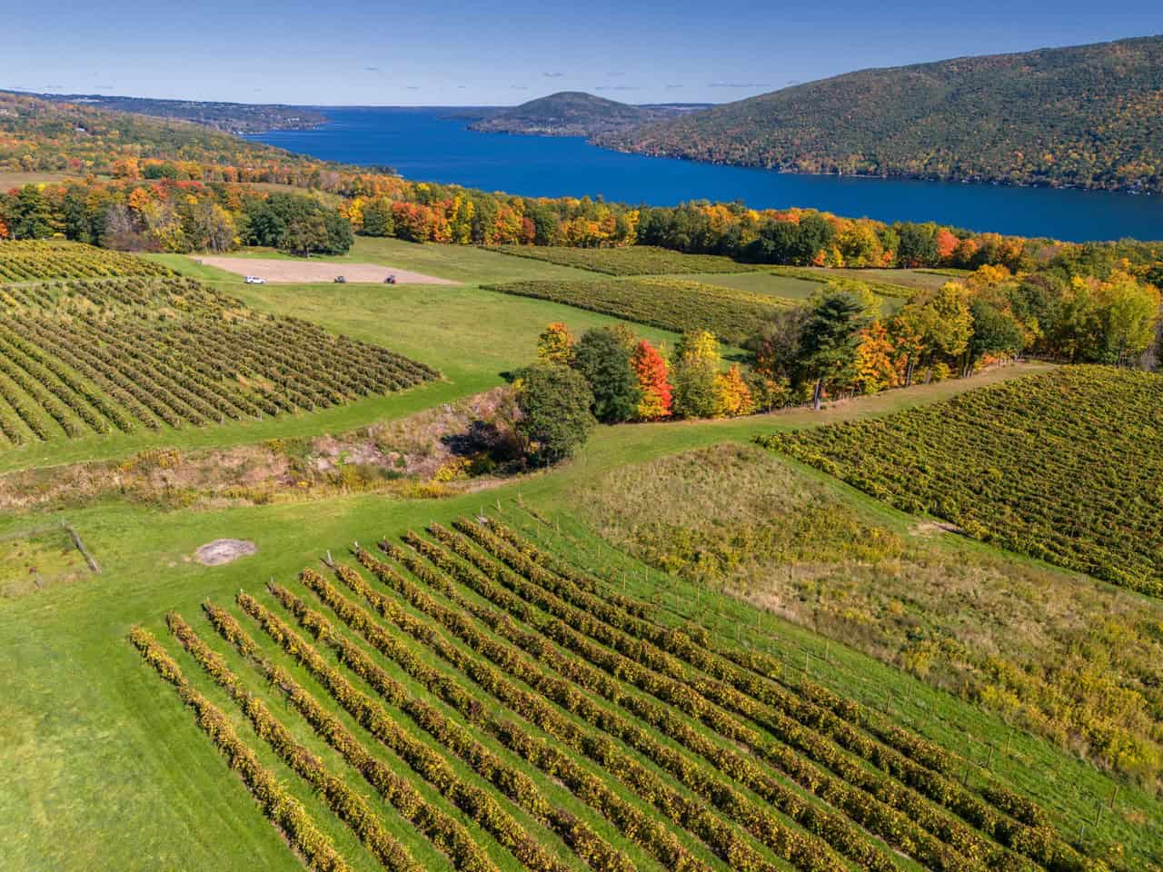 Vineyards overlooking Lake Canandaigua