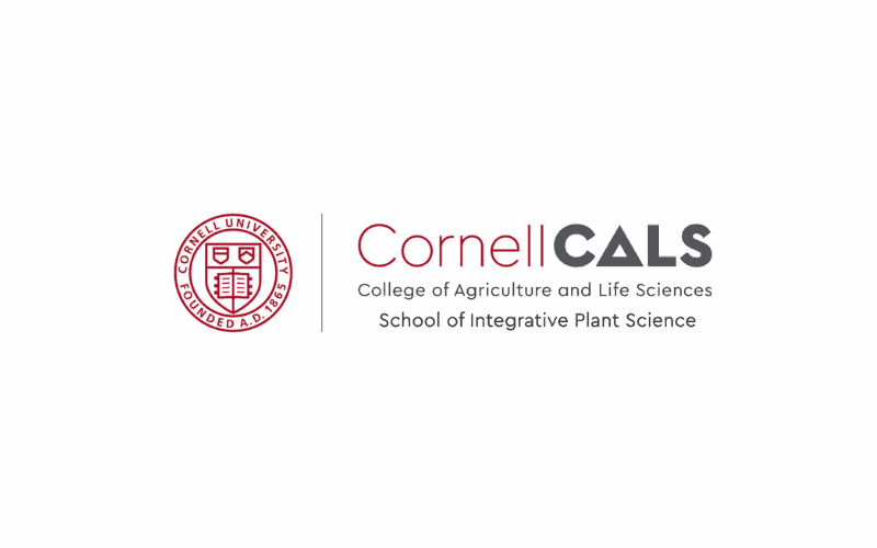 CALS SIPS logo